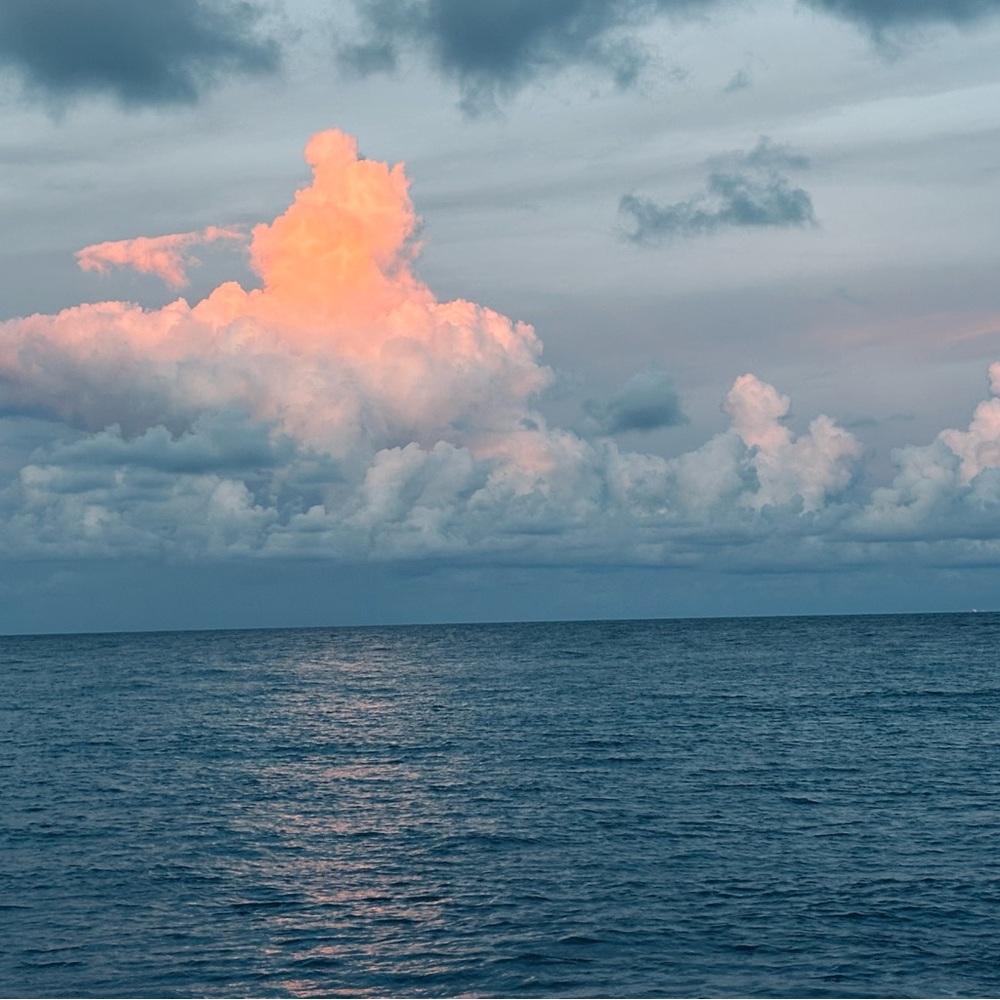 Meet your Posher, Yan